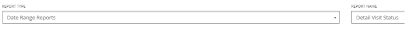 How to Run the Detail Status Visit Report