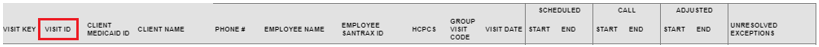 Detail Visit Status Report Column Headings