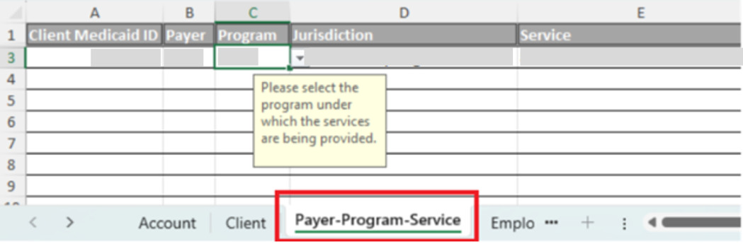 Payer-Program-Service tab in Excel