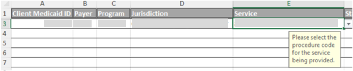 Column E for Client Service Authorization Information